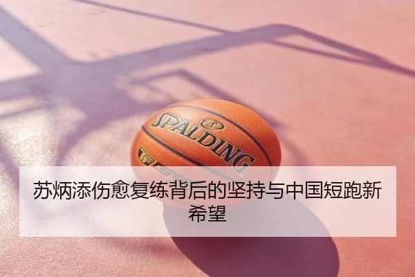 苏炳添伤愈复练背后的坚持与中国短跑新希望