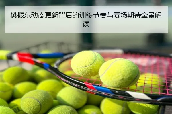 樊振东动态更新背后的训练节奏与赛场期待全景解读